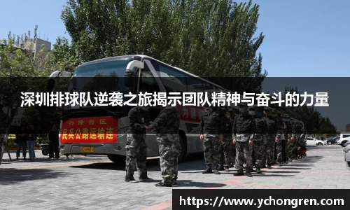 深圳排球队逆袭之旅揭示团队精神与奋斗的力量