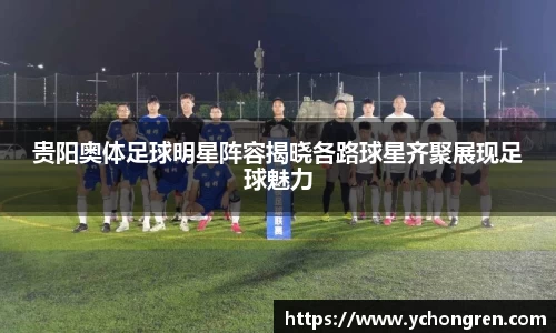 贵阳奥体足球明星阵容揭晓各路球星齐聚展现足球魅力